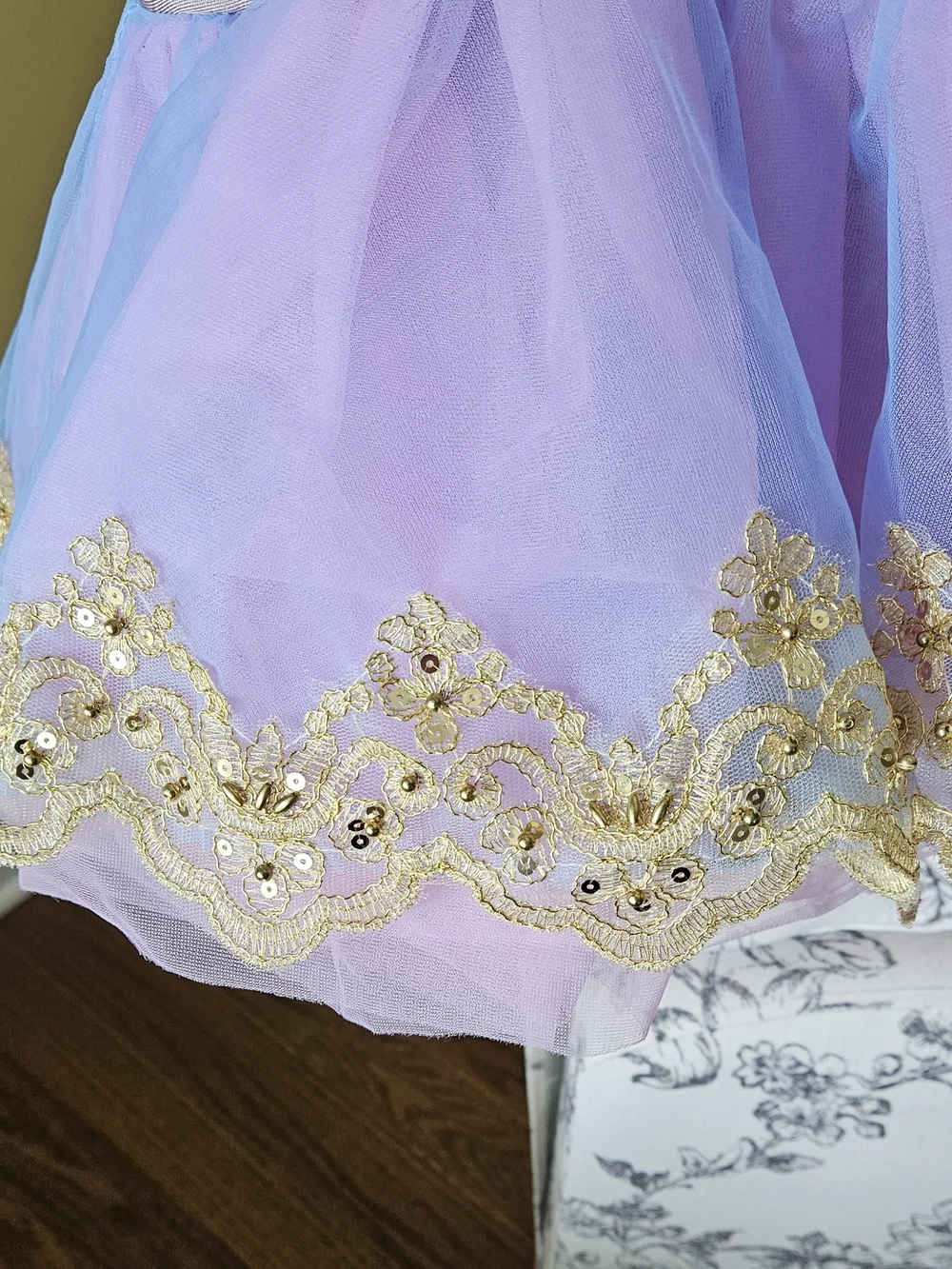 Blue & Pink Gold-Trim Tulle Dance Costume 
